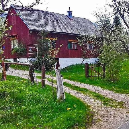 Draga Koncar Guest House Vrelo Koreničko Dış mekan fotoğraf