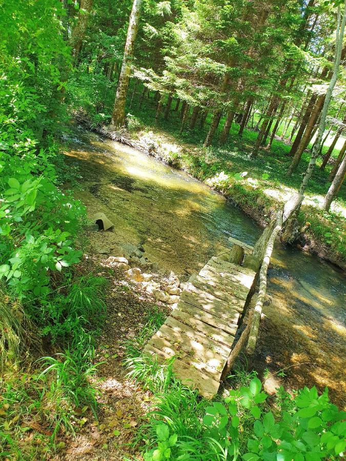 Draga Koncar Guest House Vrelo Koreničko Dış mekan fotoğraf
