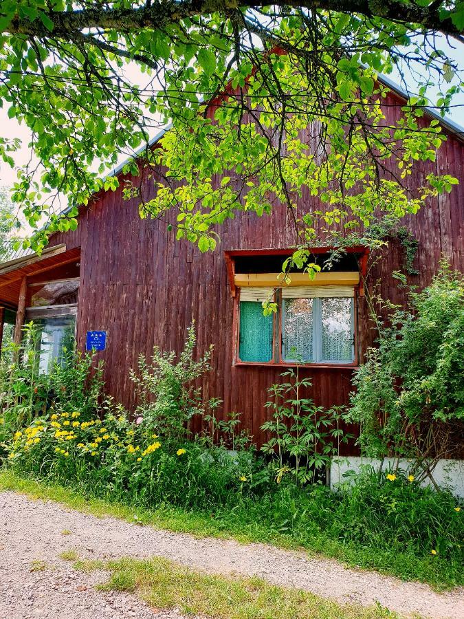 Draga Koncar Guest House Vrelo Koreničko Dış mekan fotoğraf