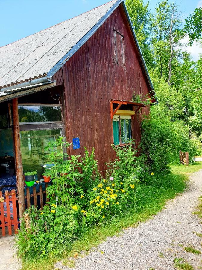 Draga Koncar Guest House Vrelo Koreničko Dış mekan fotoğraf