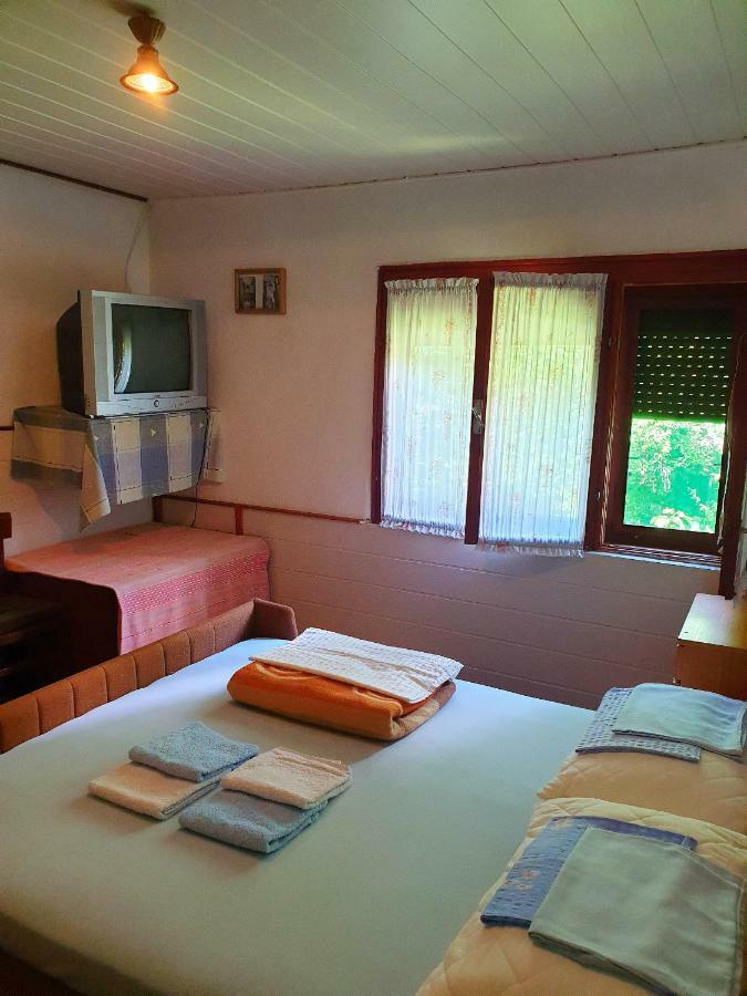 Draga Koncar Guest House Vrelo Koreničko Dış mekan fotoğraf