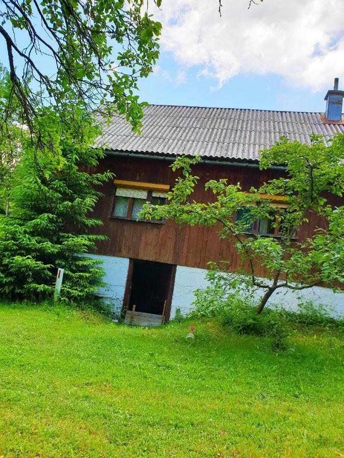 Draga Koncar Guest House Vrelo Koreničko Dış mekan fotoğraf
