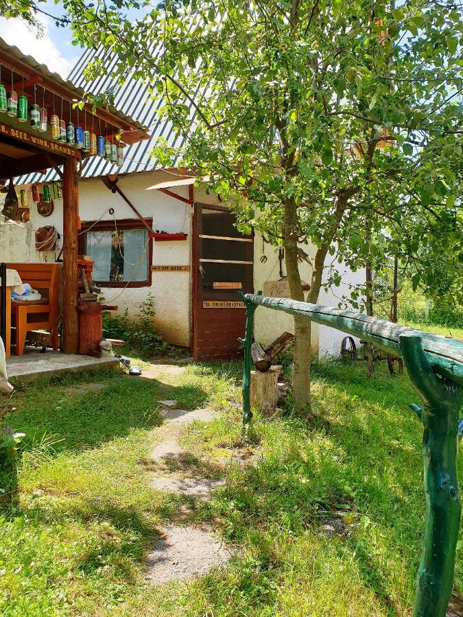 Draga Koncar Guest House Vrelo Koreničko Dış mekan fotoğraf