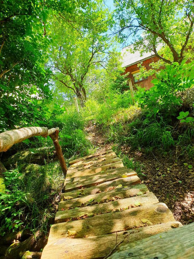 Draga Koncar Guest House Vrelo Koreničko Dış mekan fotoğraf