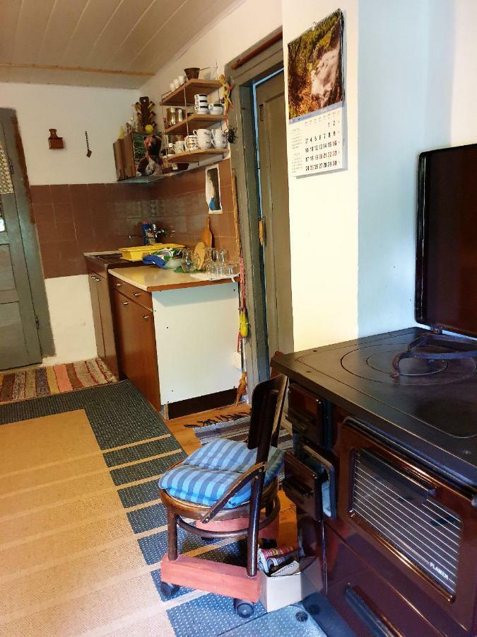 Draga Koncar Guest House Vrelo Koreničko Dış mekan fotoğraf