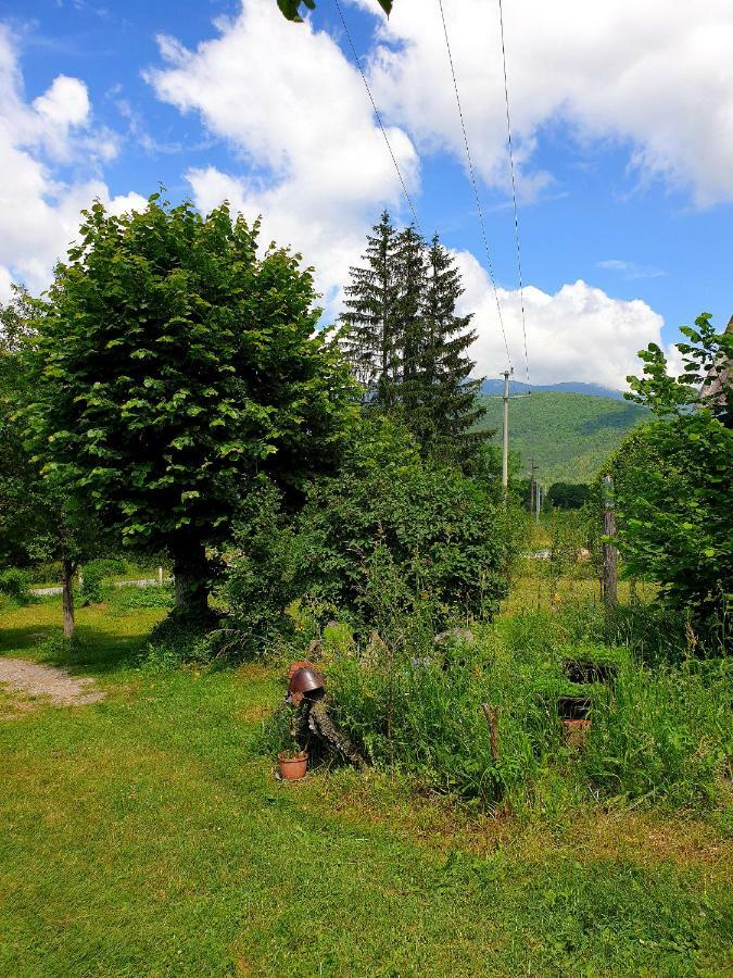 Draga Koncar Guest House Vrelo Koreničko Dış mekan fotoğraf