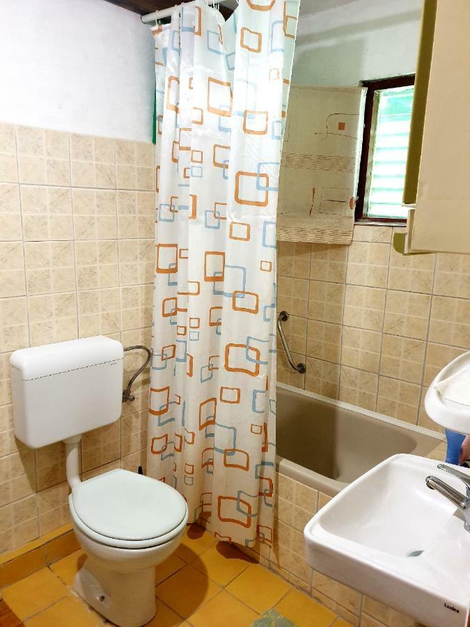 Draga Koncar Guest House Vrelo Koreničko Dış mekan fotoğraf