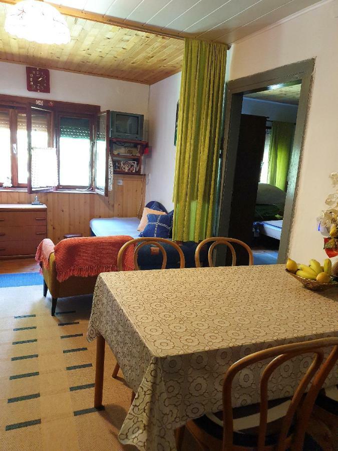 Draga Koncar Guest House Vrelo Koreničko Dış mekan fotoğraf